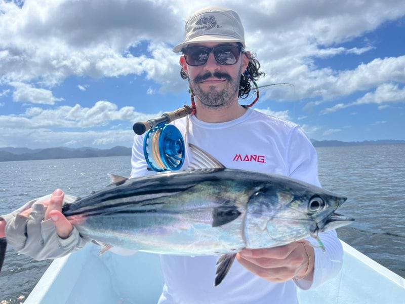 Bonito on fly