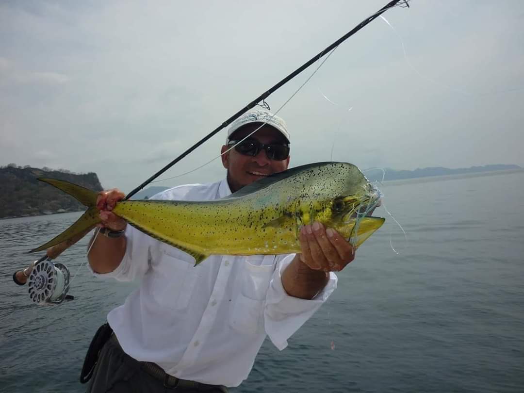 Mahi-Mahi